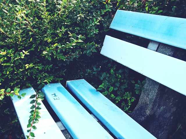 恢复期的皇 恢复期的皇