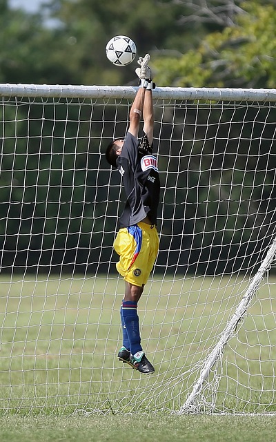 到他们未来 到他们未来