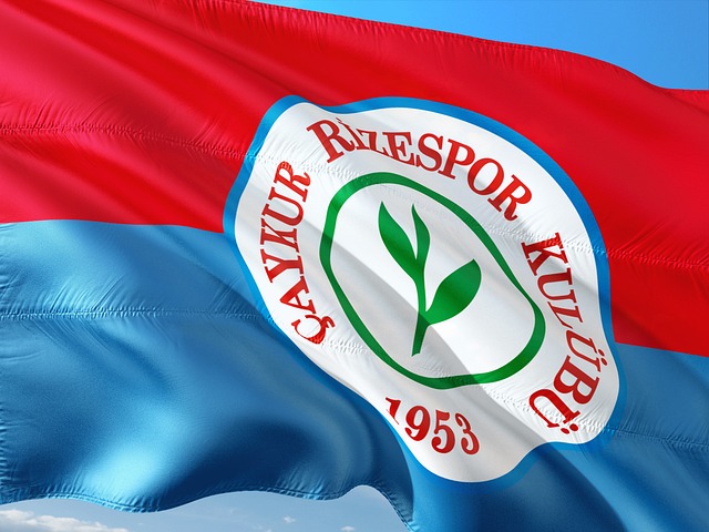 生涯后期选 生涯后期选