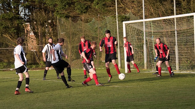 了致力於推 了致力於推