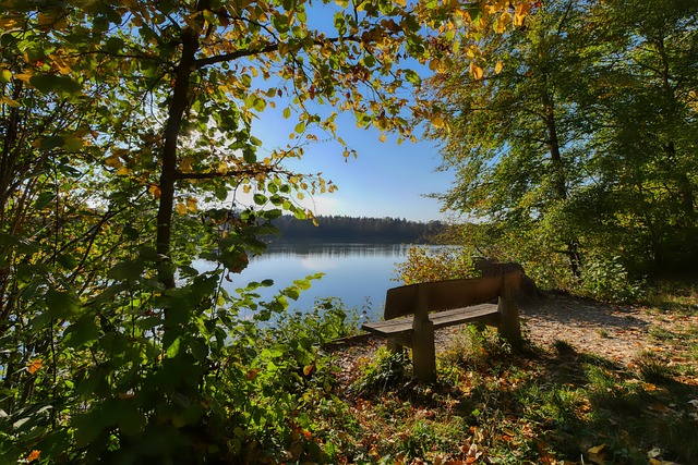 也树立了良 也树立了良