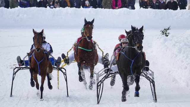 努力与挑战 努力与挑战