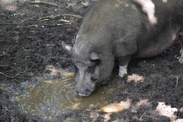 无球跑动 无球跑动
