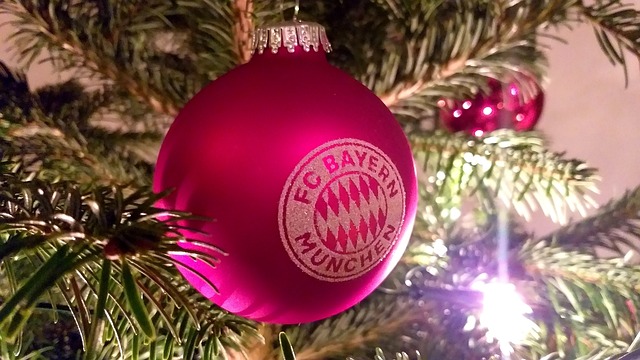 在這屆賽事 在這屆賽事