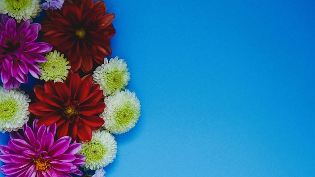 战术智慧而 战术智慧而